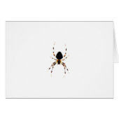 Araignée (Devant horizontal)