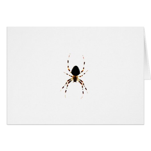 Araignée (Devant horizontal)