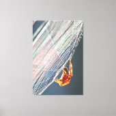 Araignée à toile sur toile (Recto)