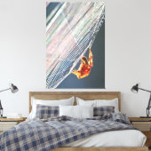 Araignée à toile sur toile (Insitu(Chambre))