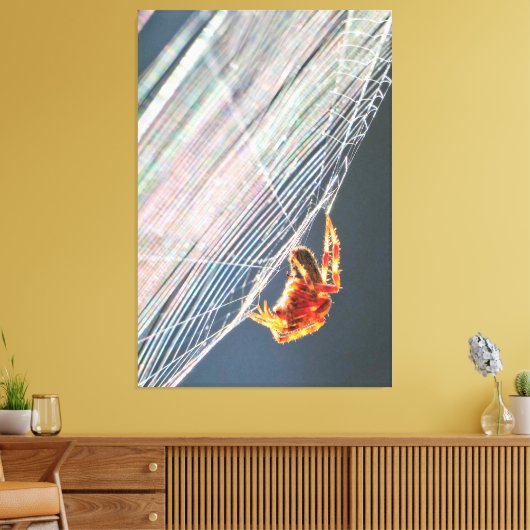 Araignée à toile sur toile (Insitu(Salon))