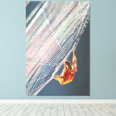 Araignée à toile sur toile (Insitu (Plancher de Bois))