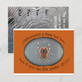 Araignée Araneus Orb Weaver Invitation Halloween (Devant / Derrière)