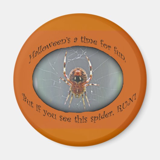 Araignée Araneus Orb Weaver Magnet Halloween (Devant)