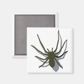 Araignée avec aimant à ombre (Recto/Verso)