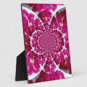 Araignée blanche sur une belle plaque rouge rose (Côté)