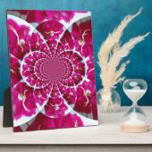 Araignée blanche sur une belle plaque rouge rose (Côté)