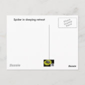 Araignée dans la carte postale Retraite (Dos)