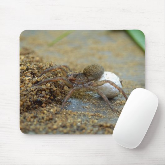 Araignée de loup avec le tapis de souris de sac (Avec souris)