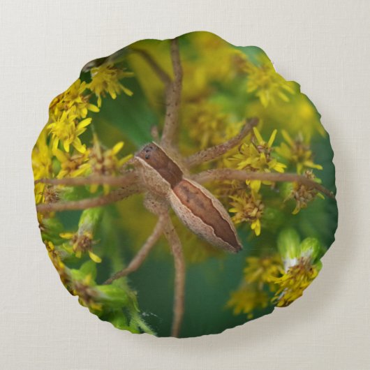 Araignée de pépinière Coussin (Dos)