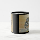 Araignée de saut (Phiddipus audax) Mug (Centre)