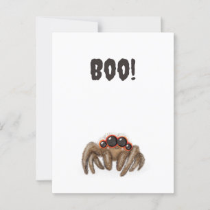 Araignée éffrayante "Boo !" Carte postale Hallowee