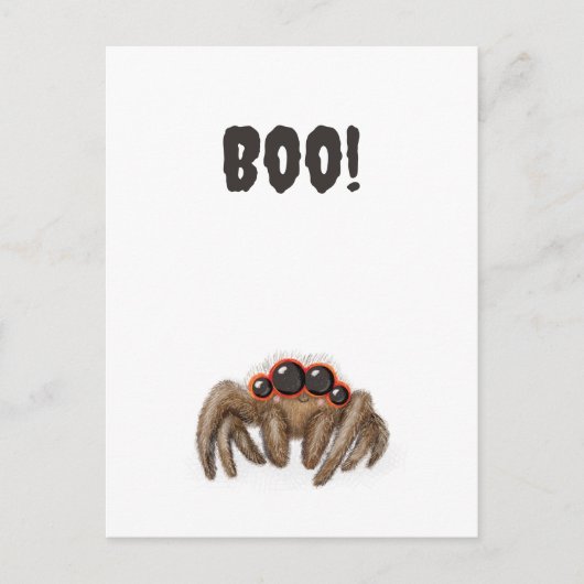 Araignée éffrayante "Boo !" Carte postale Hallowee (Devant)