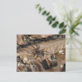 Araignée-loup (Gladicosa gulosa) Carte postale (Debout devant)