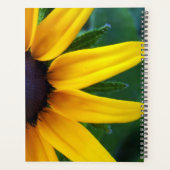 Araignée rampant sur un planificateur de tourbillo (Dos)