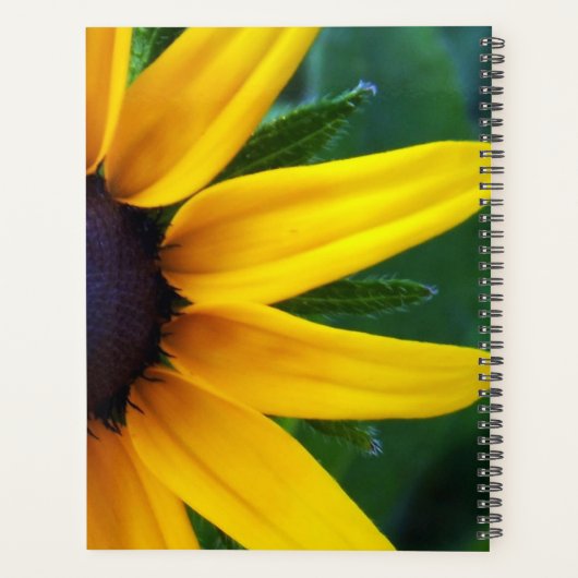 Araignée rampant sur un planificateur de tourbillo (Dos)