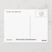 Araignée sous carte postale feuille de lait (Dos)