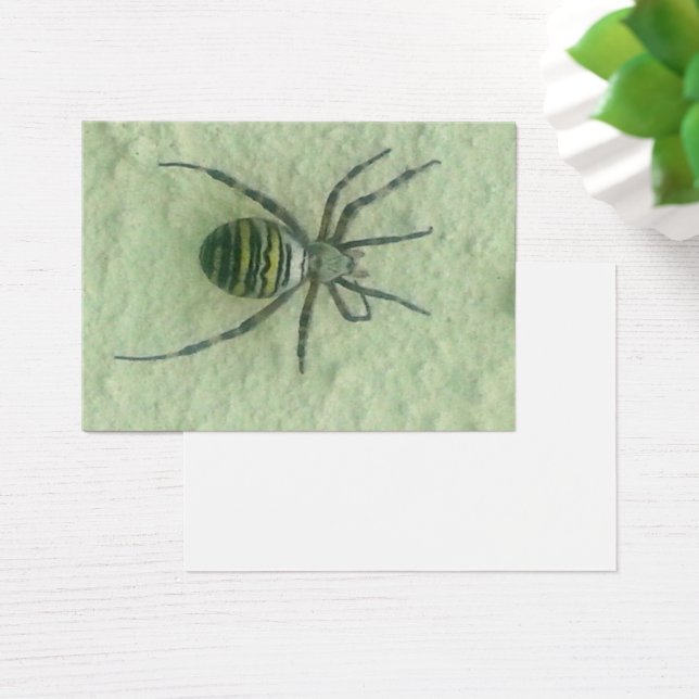 Araignee spider (Bureau)