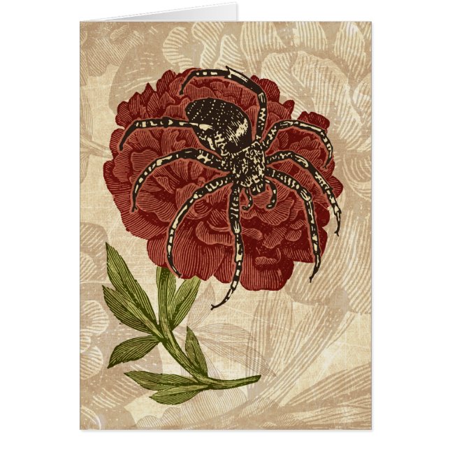 Araignée sur fleurs (Devant)