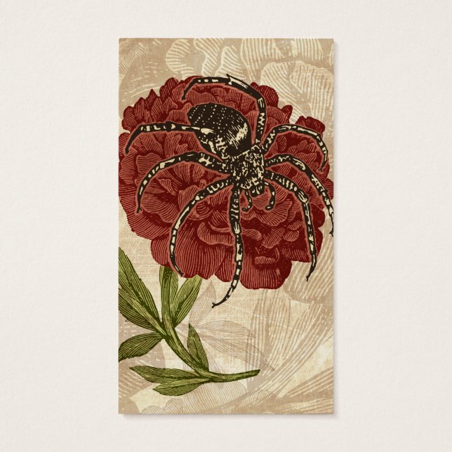 Araignée sur fleurs (Dos)