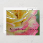 Araignée sur une carte postale Rose (Devant / Derrière)