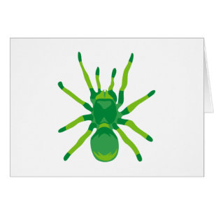 Araignée (verte)