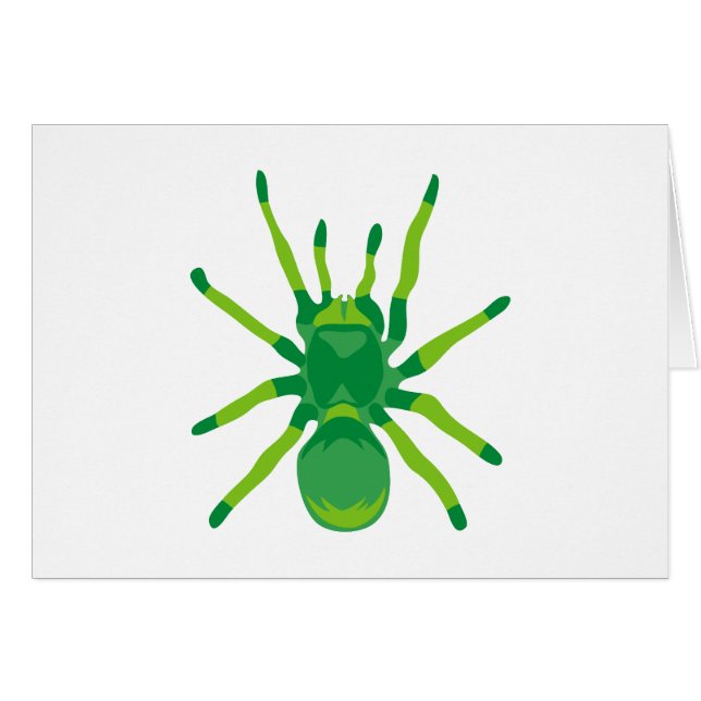 Araignée (verte) (Devant horizontal)
