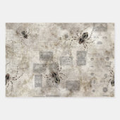Araignées noires sur papier journal de catalogue (Devant 2)