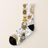 Araignées ou arachnides vintages par Ernst Haeckel (Gauche - extérieur)