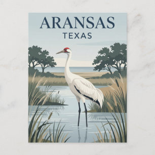 Aransas National Wildlife Refuge VS Briefkaart
