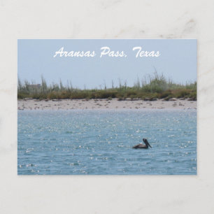Aransas Pass Texas Kust met Pelikaan Briefkaart