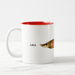 Arapaima Mug | Musique de poisson