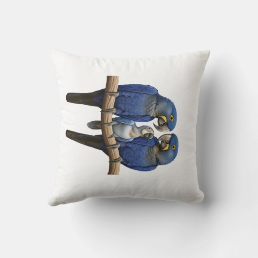 Arara azul kussen (Achterkant)