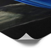 Arara Canindé Poster (Hoek)