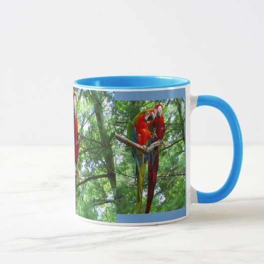 Aras de chant grande tasse (Droite)