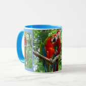 Aras de chant grande tasse (Devant gauche)
