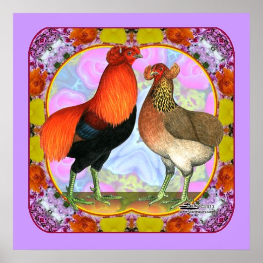 Araucana Chickens Art Poster (Voorkant)