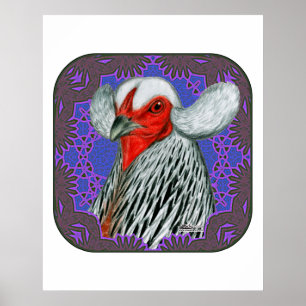 Araucana Head Framed Poster