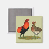 Araucana Red Pair Magneet (Voorkant / Achterkant)