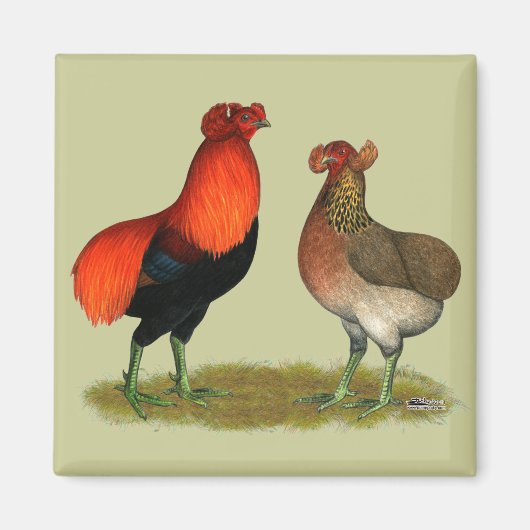 Araucana Red Pair Magneet (Voorkant)