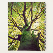 Arborescence de l'arbre (Dos)