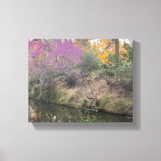 Arboretum Canvas Afdruk (Voorkant)