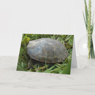 "Arboretum Painted Turtle" - Hartelijk dank Kaart