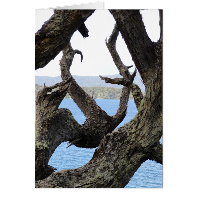 Arbre (Devant)