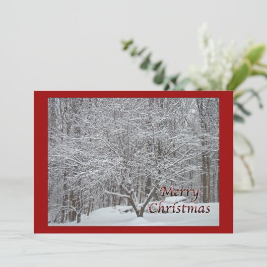 Arbre à bois de Noël en Invitation à la neige (Debout devant)