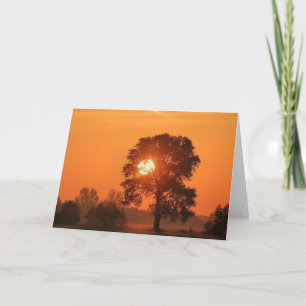 Arbre à la carte de voeux du coucher du soleil