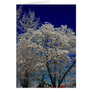 arbre à neige