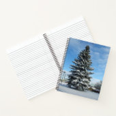 Arbre à pin dans le carnet de neige (Intérieur)