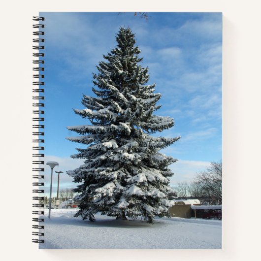 Arbre à pin dans le carnet de neige (Devant)