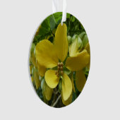 Arbre à Pluie Dorée Fleur Tropicale Jaune (devant)